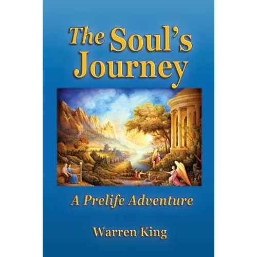 The Soul's Journey: A Pre-Life Adventure - Narayan's Preparation for his Next Earthly Life - Paperback