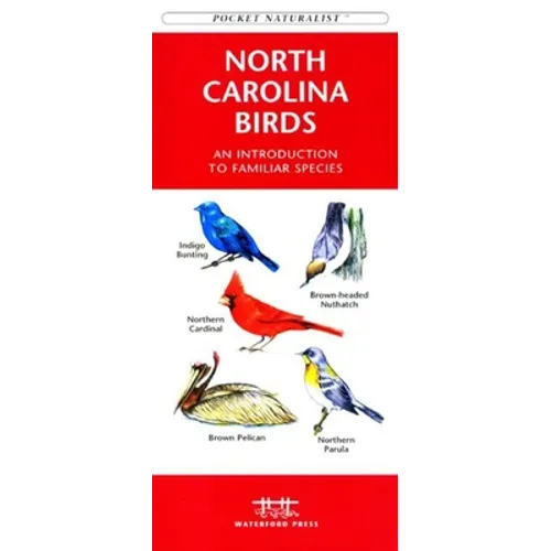 Colorado Birds: A Folding Pocket Guide to Familiar Species