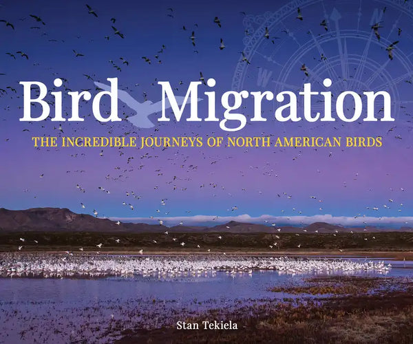 Bird Migration: The Incredible Journeys of North American Birds - Paperback