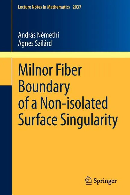 Milnor Fiber Boundary of a Non-Isolated Surface Singularity - Paperback