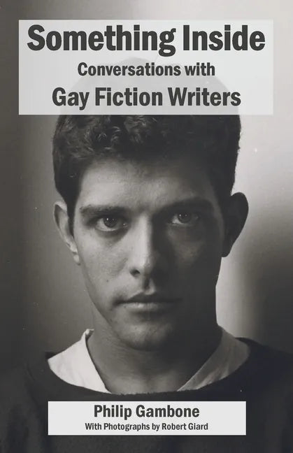 Something Inside: Conversations with Gay Fiction Writers - Paperback