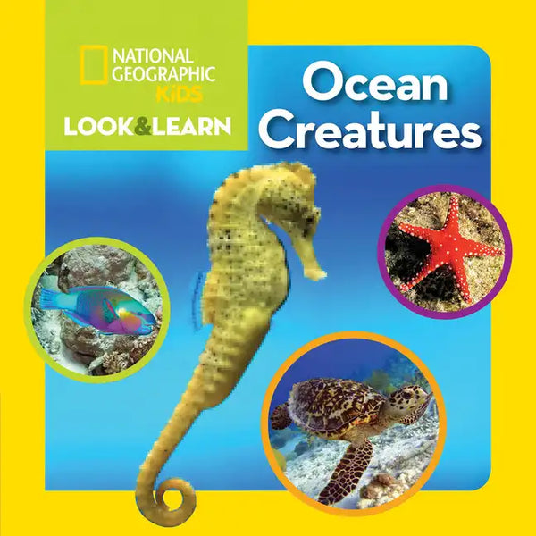 National Geographic Kids Look and Learn: Ocean Creatures - Board Book