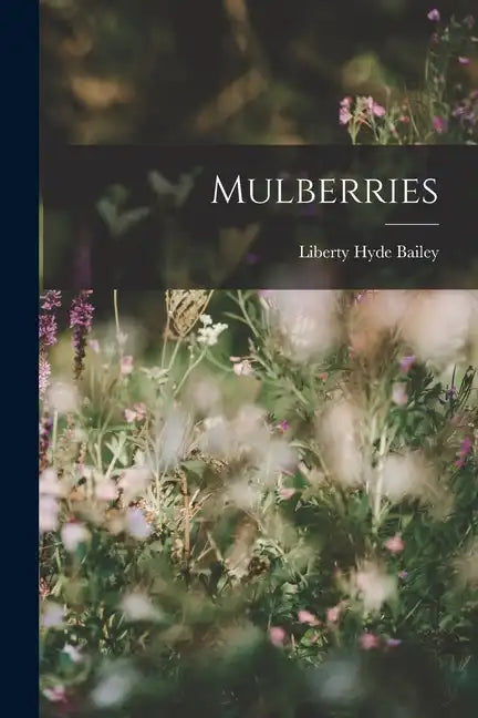 Mulberries - Paperback