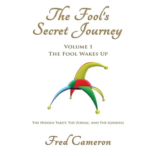 The Fool's Secret Journey Volume 1: The Fool Wakes Up - Paperback