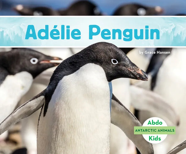 Adélie Penguin - Library Binding