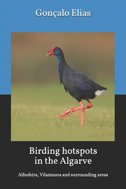 Birding hotspots in the Algarve: Albufeira, Vilamoura and surrounding areas - Paperback