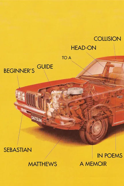 Beginner's Guide to a Head-On Collision - Paperback