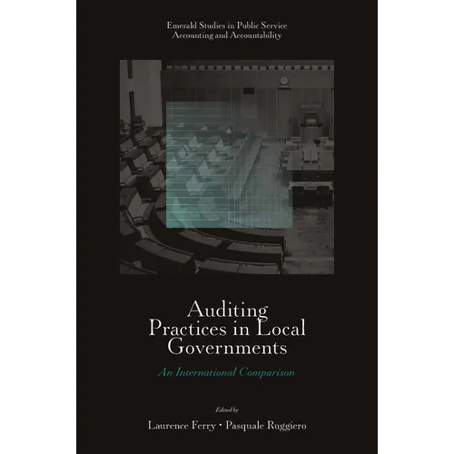 Auditing Practices in Local Governments: An International Comparison - Hardcover