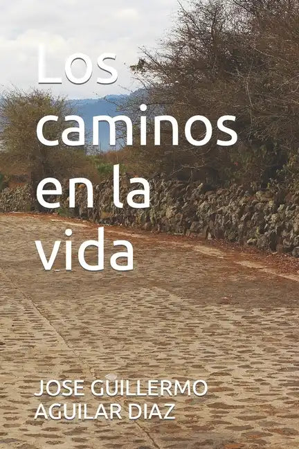 Los caminos en la vida - Paperback