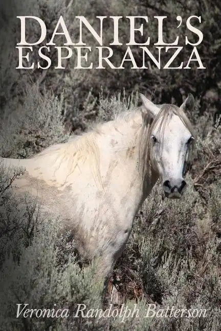 Daniel's Esperanza - Paperback