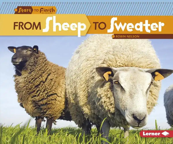 From Sheep to Sweater - Paperback
