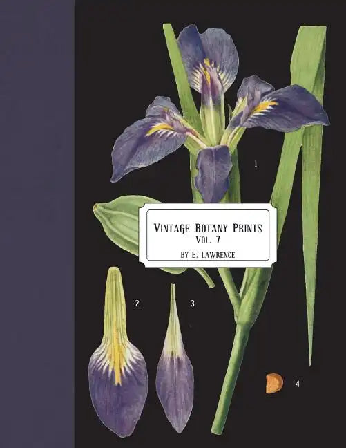 Vintage Botany Prints: Vol.7 - Paperback