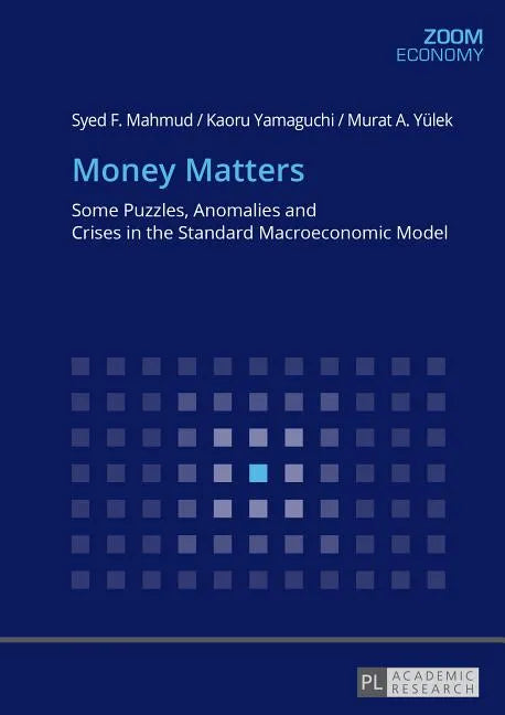 Money Matters: Some Puzzles, Anomalies and Crises in the Standard Macroeconomic Model - Paperback