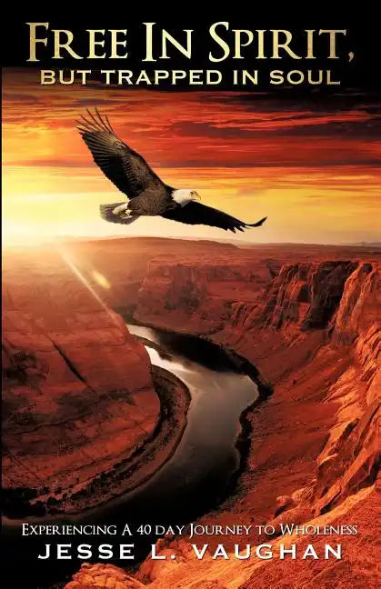 Free In Spirit, But Trapped In Soul - Paperback