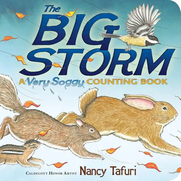The Big Storm: A Very Soggy Counting Book - Board Book