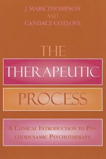 The Therapeutic Process: A Clinical Introduction to Psychodynamic Psychotherapy - Paperback