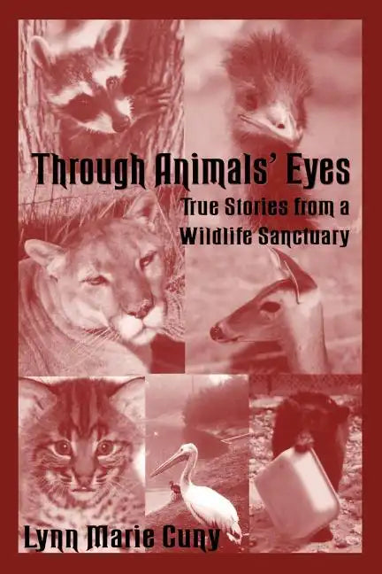 Through Animals' Eyes: True Stories from a Wildlife Sanctuary - Paperback