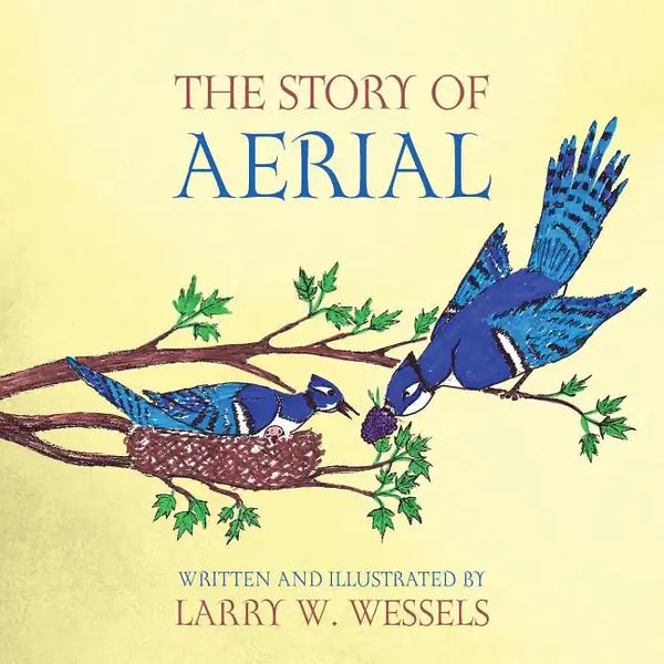 The Story of Aerial - Paperback
