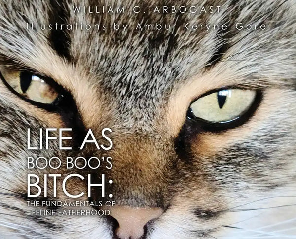 Life as Boo Boo's Bitch: The Fundamentals of Feline Fatherhood - Hardcover