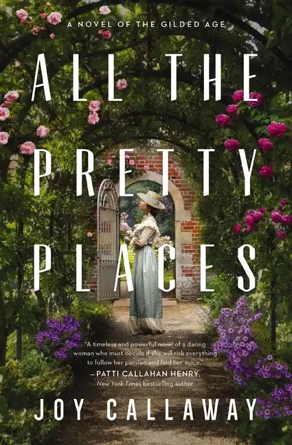 All the Pretty Places: A Novel of the Gilded Age - Paperback