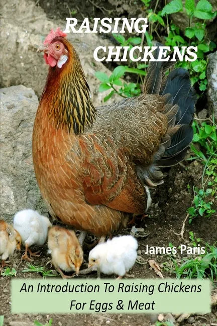 Raising Chickens - An Introduction To Raising Chickens For Eggs & Meat - Paperback