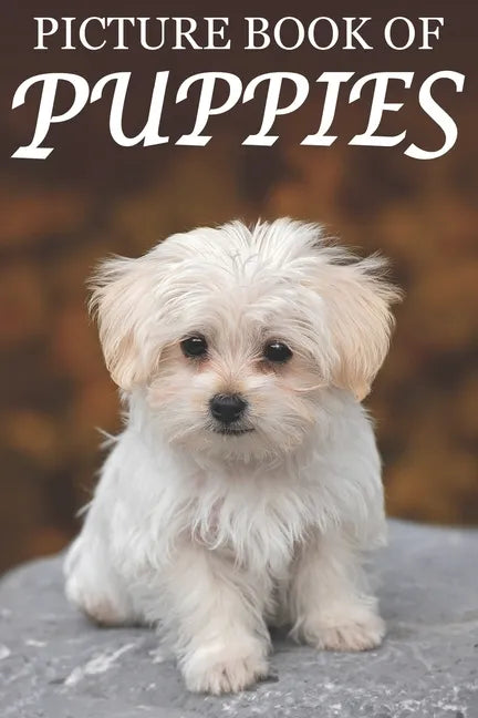 Picture Book of Puppies: Picture Book of Puppies: For Seniors with Dementia [Cute Picture Books] - Paperback