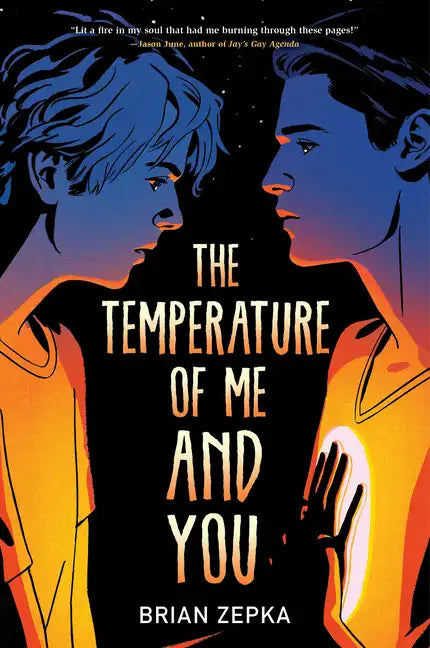 The Temperature of Me and You - Paperback