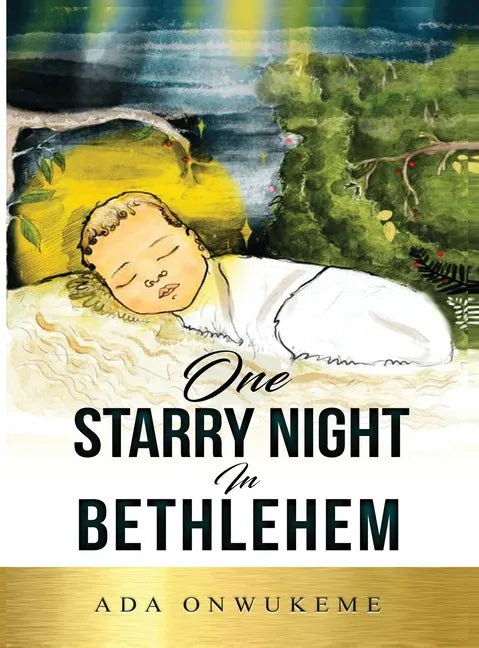 One Starry Night In Bethlehem! - Hardcover