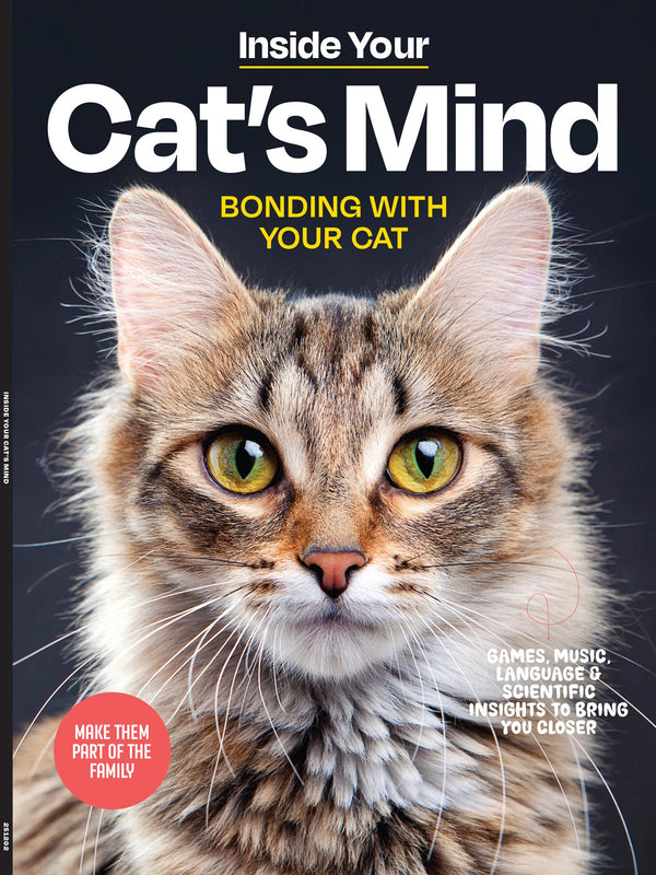 Inside Your Cat’s Mind - Essential Tips For Bonding, Communication, Understanding Emotional Unique Needs, Creating A Happy Cat-Friendly Home, Strengthening Your Feline Companionship & More!