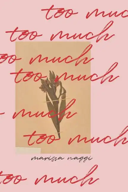 Too Much - Paperback