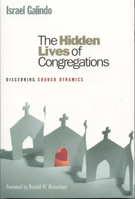 The Hidden Lives of Congregations: Discerning Church Dynamics - Paperback