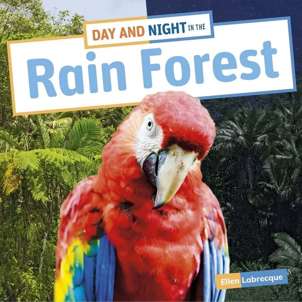 Day and Night in the Rain Forest - Paperback