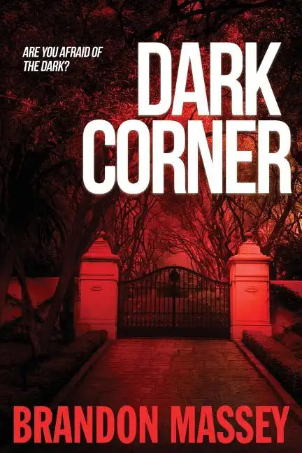Dark Corner - Paperback