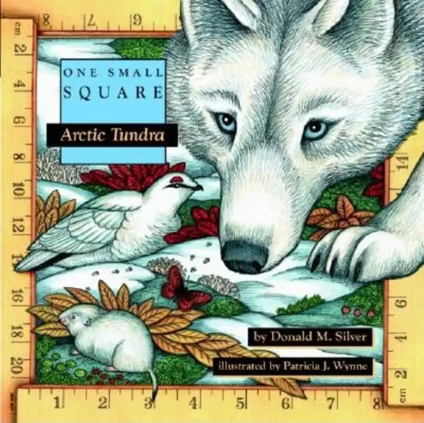 Arctic Tundra - Paperback
