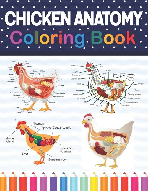 Chicken Anatomy Coloring Book: Chicken Anatomy and Veterinary Physiology Coloring Book. The New Surprising Magnificent Learning Structure For Veterin - Paperback
