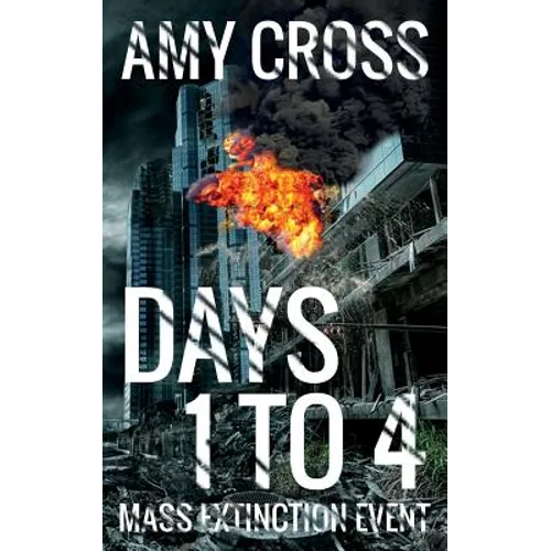 Days 1 to 4 - Paperback
