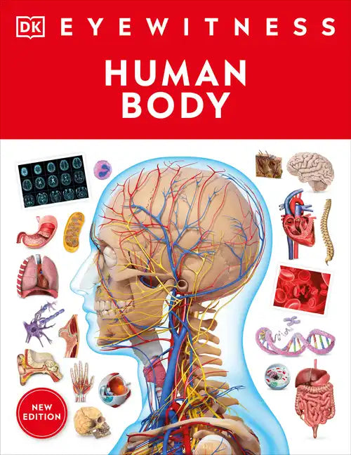 Eyewitness Human Body - Paperback