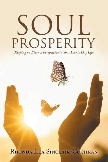 Soul Prosperity: Keeping an Eternal Perspective in Your Day to Day Life - Paperback