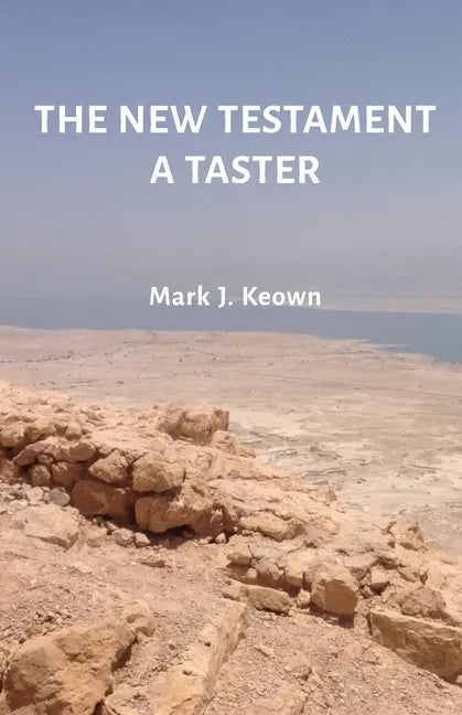 The New Testament A Taster - Paperback
