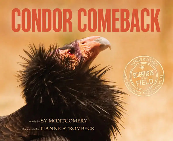 Condor Comeback - Paperback
