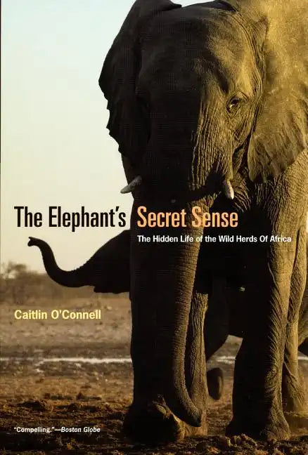 The Elephant's Secret Sense: The Hidden Life of the Wild Herds of Africa - Paperback