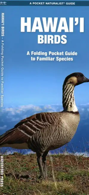 Hawai'i Birds - Paperback