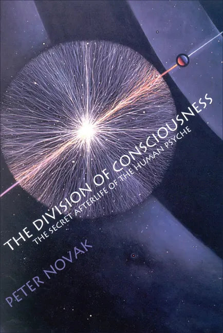 The Division of Consciousness: The Secret Afterlife of the Human Psyche: The Secret Afterlife of the Human Psyche - Paperback