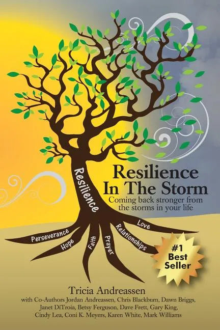 Resilience In The Storm: Coming Back Stronger From The Storms In Your Life - Paperback