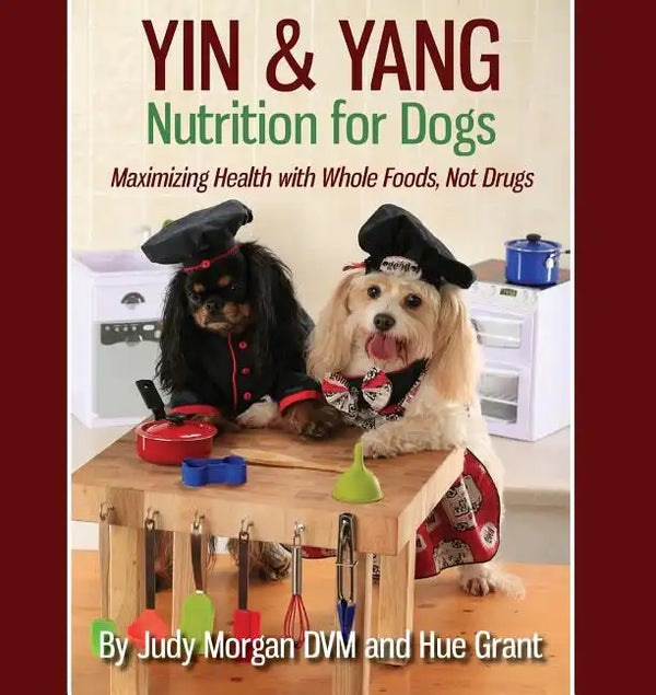 Yin & Yang Nutrition for Dogs: Maximizing Health with Whole Foods, Not Drugs - Paperback