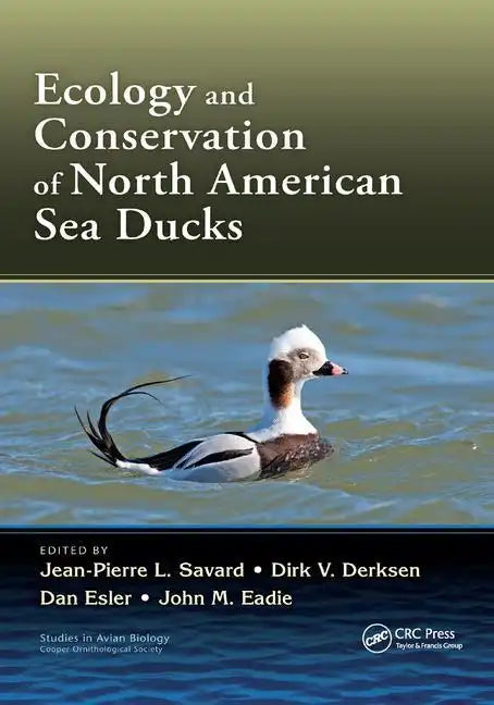 Ecology and Conservation of North American Sea Ducks - Paperback