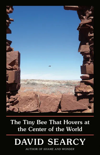 The Tiny Bee That Hovers at the Center of the World - Paperback