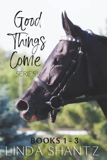 The Good Things Come Series: Books 1-3 - Paperback