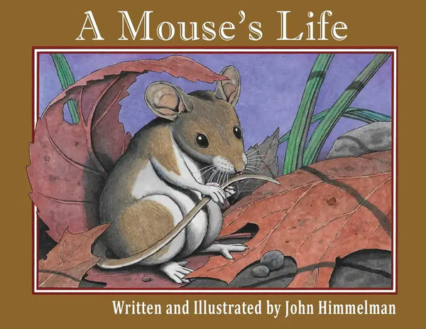 A Mouse's Life - Paperback