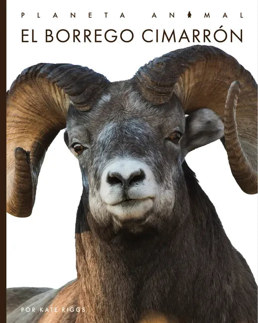 El Borrego Cimarrón - Library Binding
